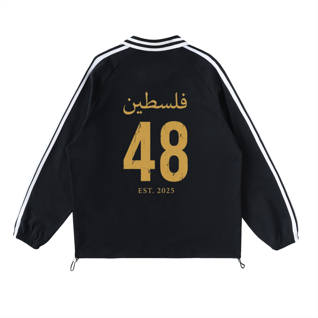 Palestine '48