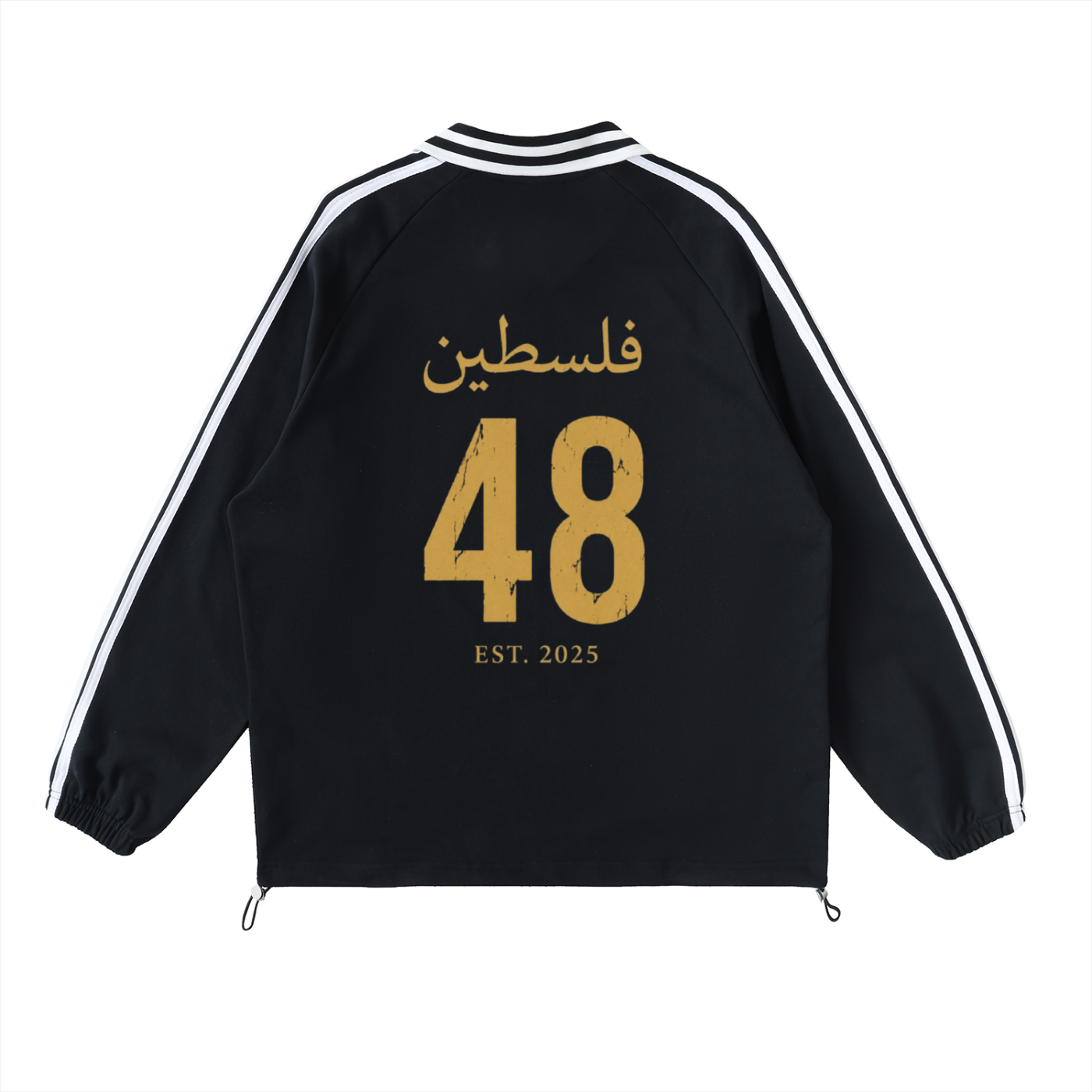 Palestine '48